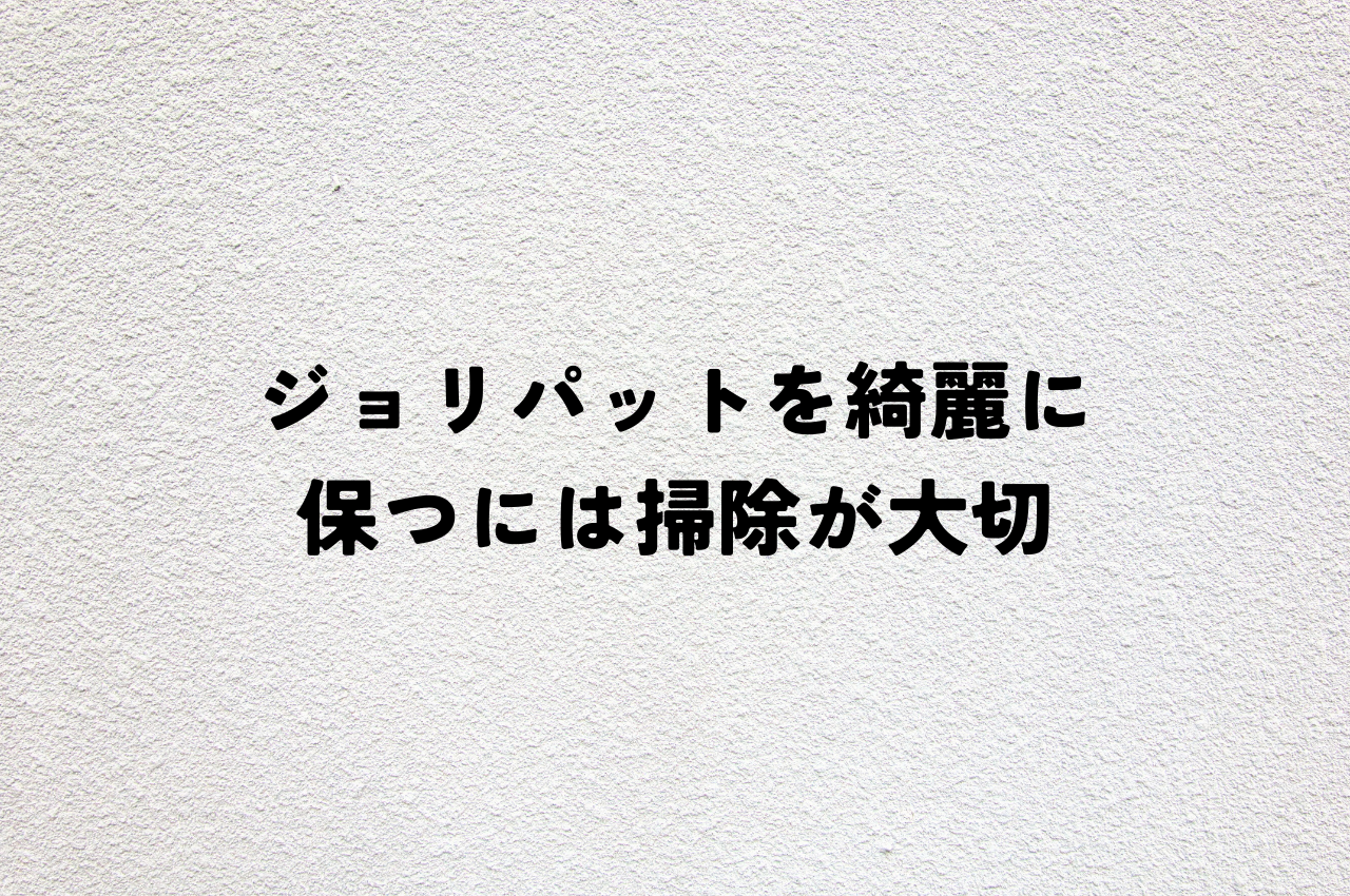 ジョリパットを綺麗に保つには掃除が大切