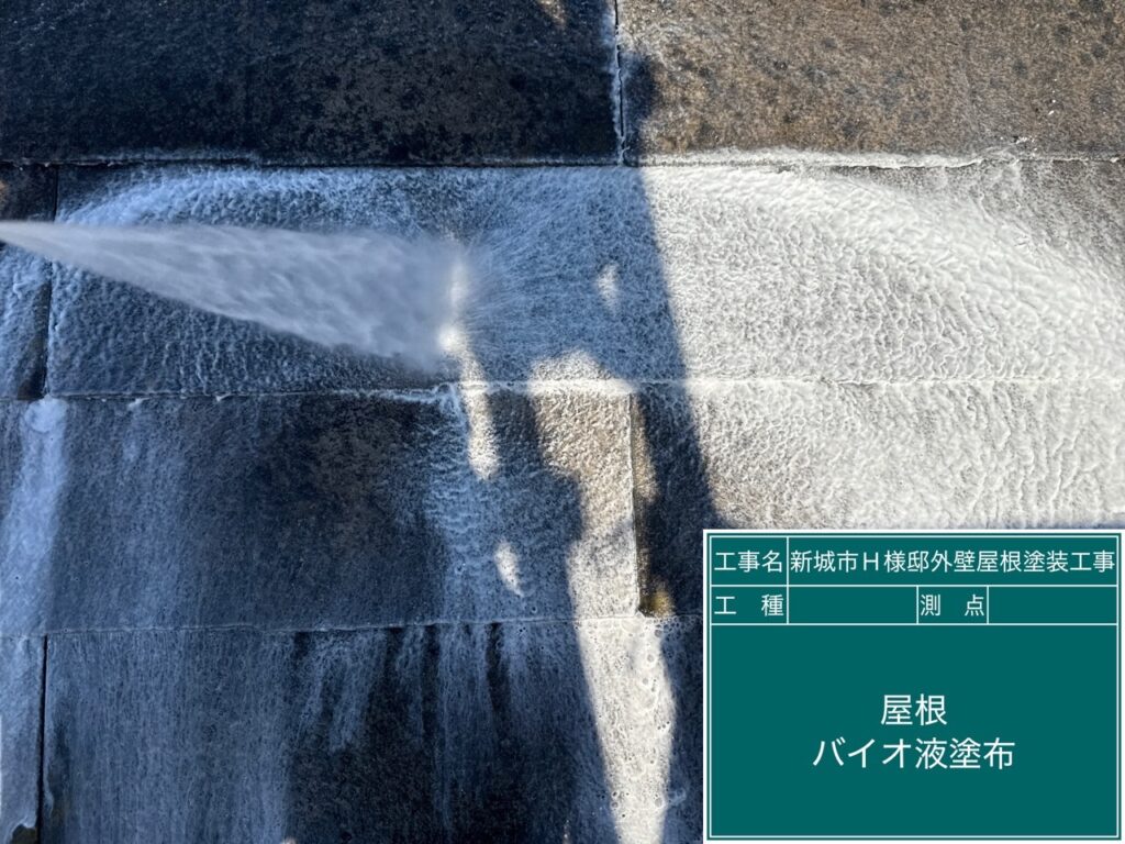 屋根バイオ液塗布