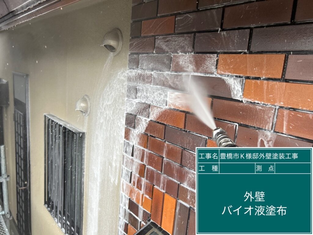 壁バイオ液塗布