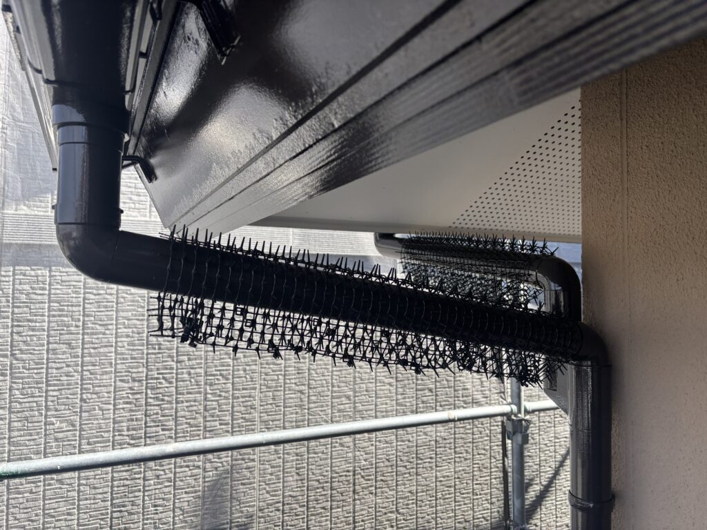 竪樋の鳩除け設置