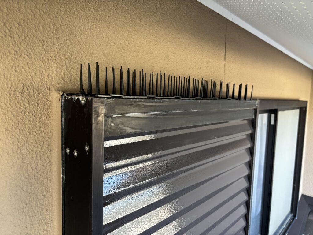 サッシ面戸部の鳩除け設置