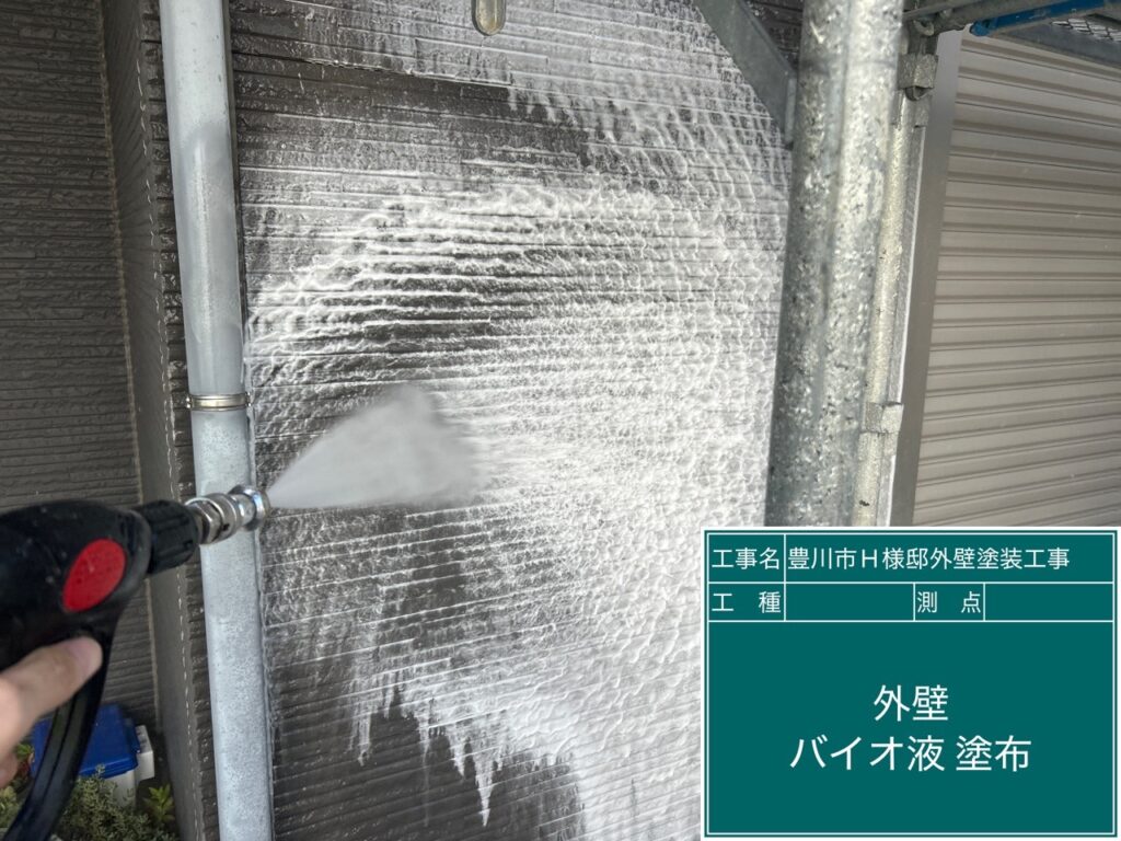 壁バイオ液塗布